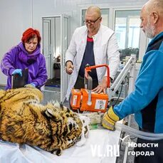 Сайт владивостока vl ru отключения воды