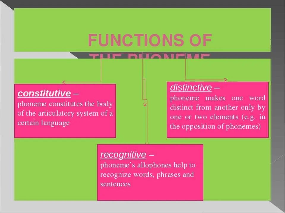 The 8 functions. Constitutive function of the phoneme. Functions of phoneme. Constitutive, recognitive and distinctive functions of phonemes.. Recognitive function of the phoneme examples.