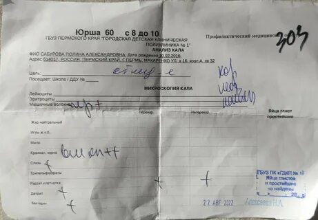 Анализ кала в поликлинике