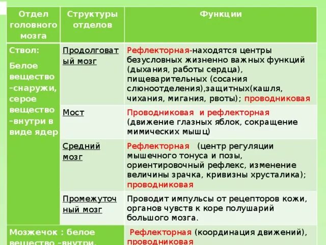 Головной мозг таблица отдел особенности функции. Строение и функции отделов головного мозга таблица. Отдел головного мозга и функции отдела таблица. Таблица отделы головного мозга и их функции и строение. Таблица название отдела головного мозга строение и функции.