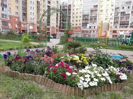 Омск дворы