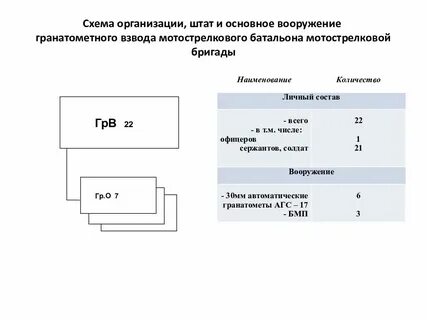 Вооружение и техника мотострелкового взвода