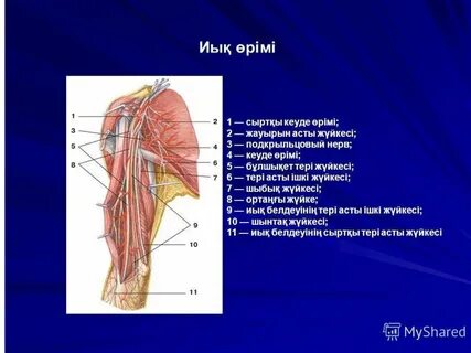 Сексуалдық порно массаж акушер-гинеколог