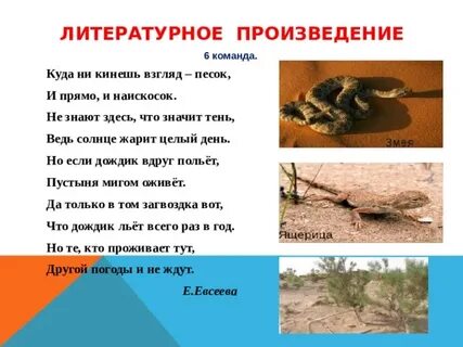 Куда ни кинь