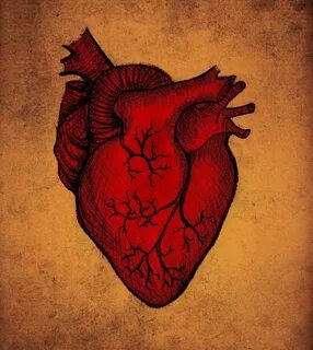 Человеческое сердце арт - 71 фото