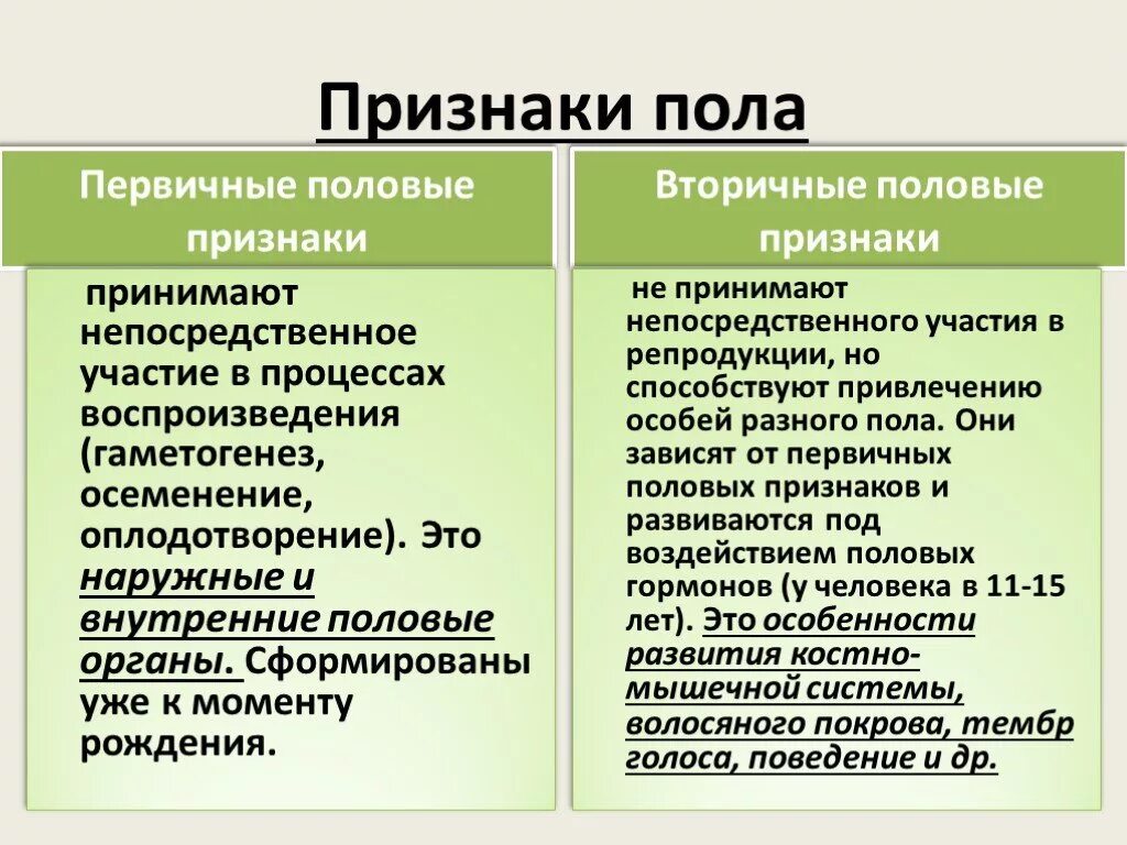Что является вторичным