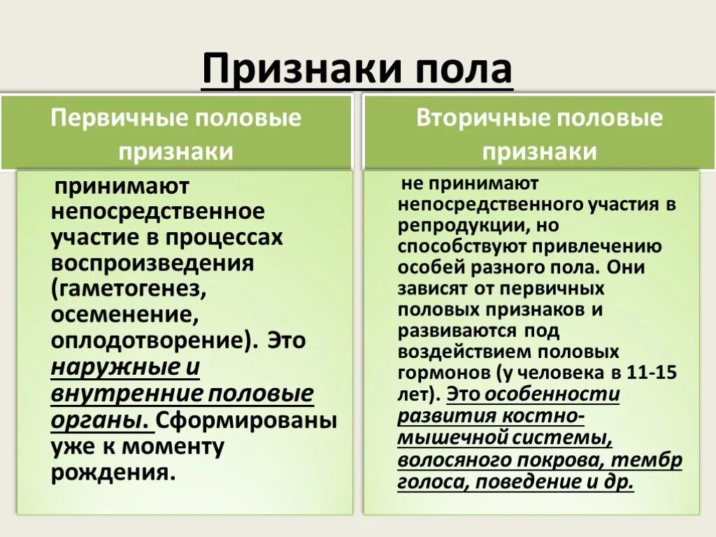 Половые признаки мужчин и женщин. Первичные и вторичные половые признаки. Первичный и вторичный половой признак. Первичные и вторичные признаки пола. Вторичные половые признаки.