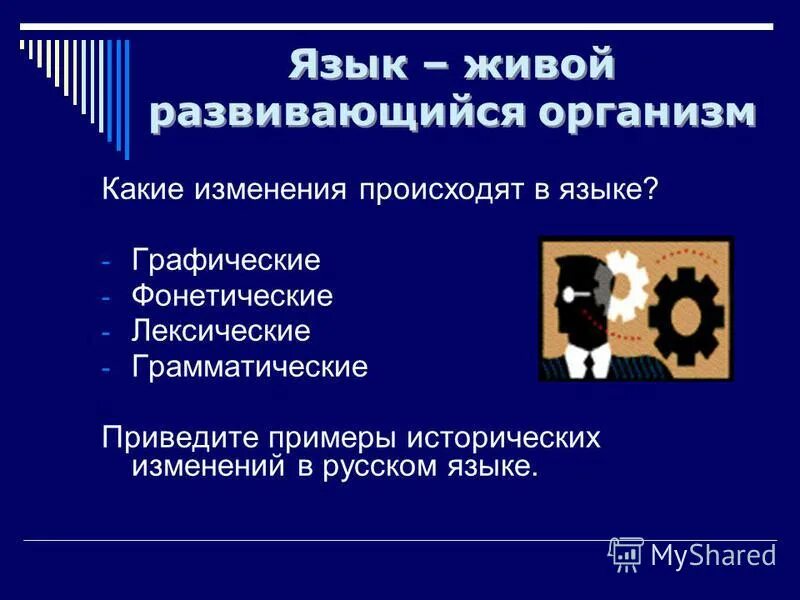 Какие изменения происходят в русском языке. Русский язык как развивающееся явление. исторические изменения в языке. примеры изменения русского языка. графические изменения в русском языке.