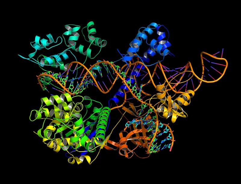 Biochemistry