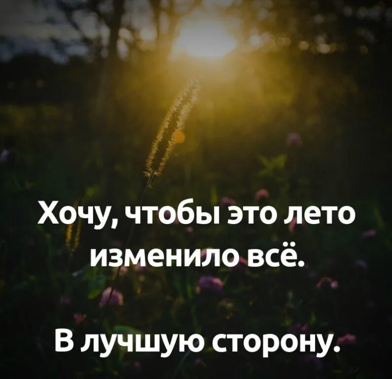 Лето изменило жизнь. Это лето изменит все. это лето изменило. пусть жизнь меняется в лучшую сторону. картинка с природой и человеком для цитат.