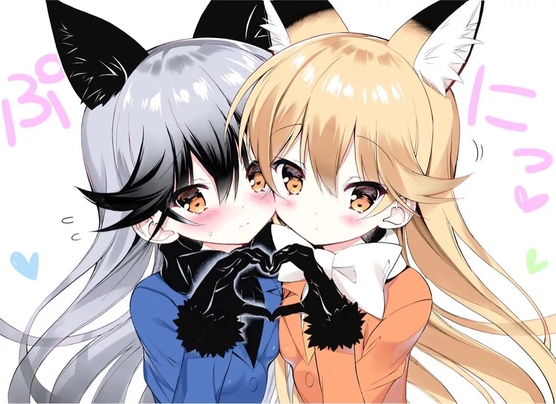 Лесбиянка кошечка. Юри неко. Кицунэ Юри. Silver Fox Kemono friends.