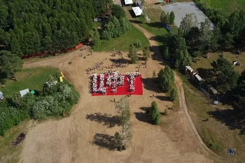 Бердск зеленые
