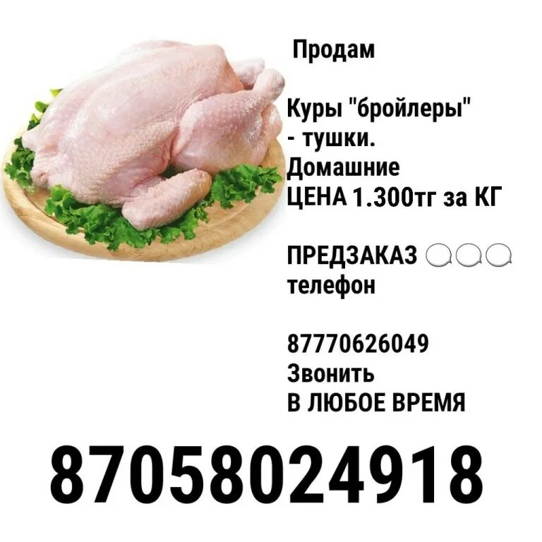 церковь с курья курьинского района. курьинский районный краеведческий музей. курья объявления о продаже. село трусово алтайский край курьинский район. дом алтайский край алтайский район.