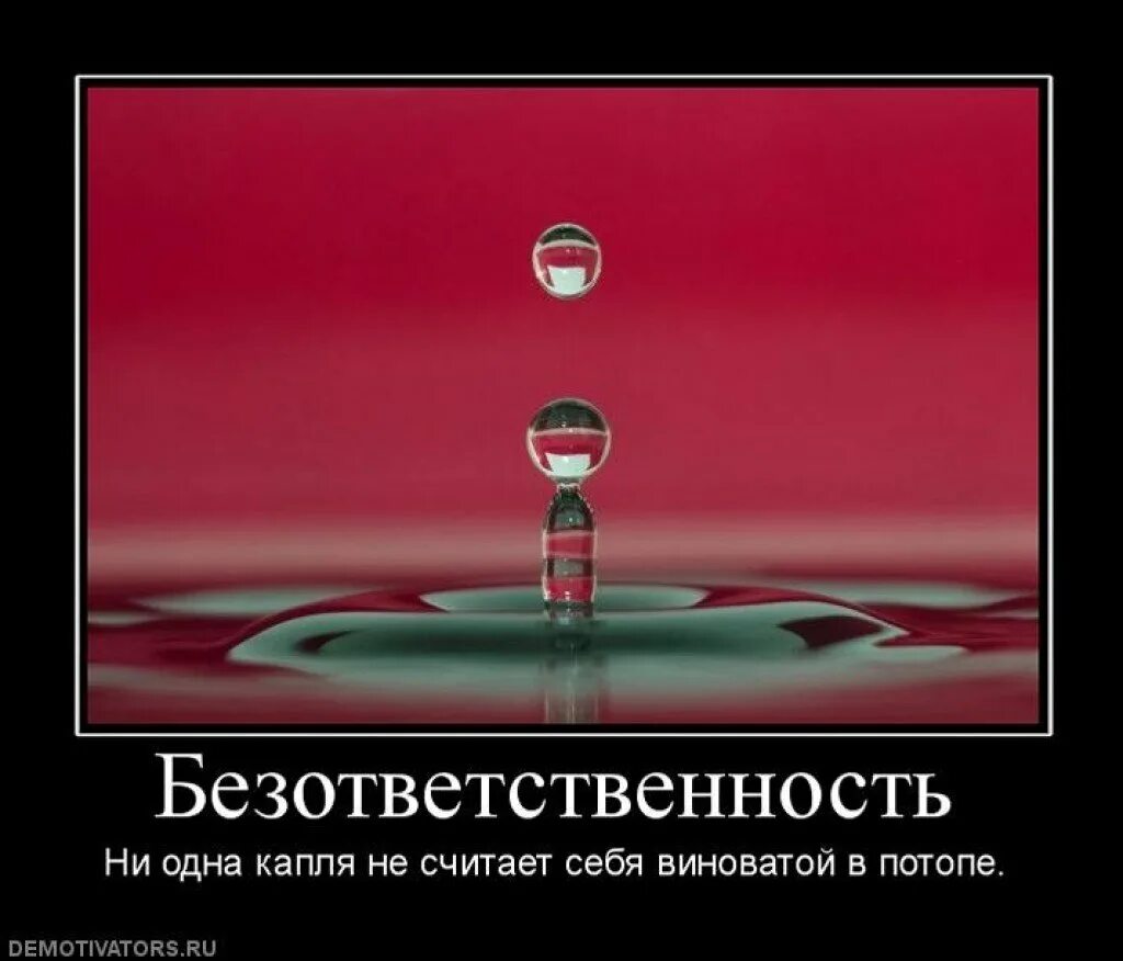 Над нами не каплет. Безответственность цитаты. Высказывания про безответственность. Статусы про безответственность. Безответственность демотиваторы.