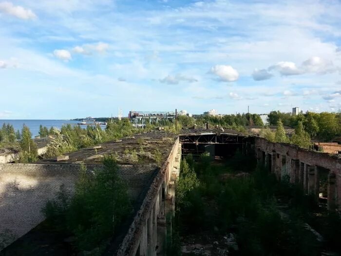 Заброшки петрозаводска. Домостроительный комбинат петрозаводск. Шарыпово. Комбинаты петрозаводска. Улица дск петрозаводск.