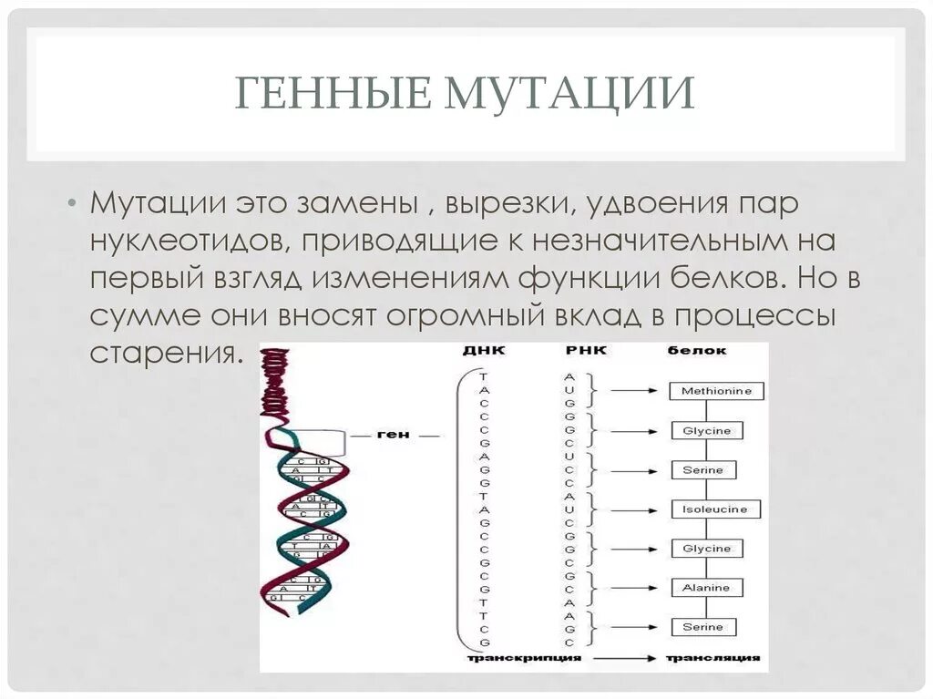 К описанию генных мутаций относятся. Типы мутации ДНК. Генyyst мутации. Генные мутации рисунок.