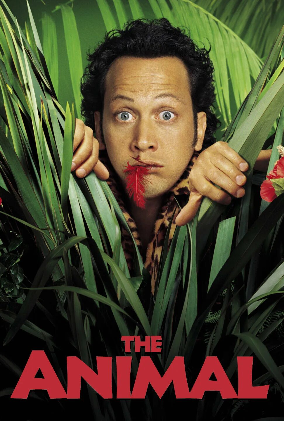 кинокомедия животное. комедия с робом шнайдером животное. кадры из фильма животное. роб шнайдер животное. роб шнайдер 2001.