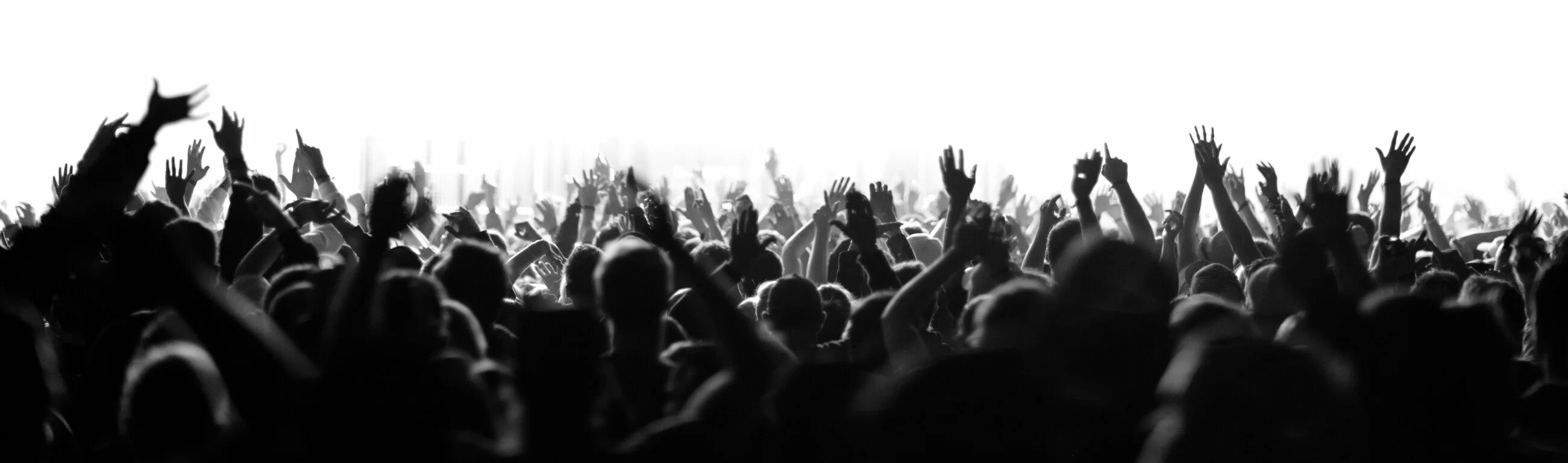 Audience direct