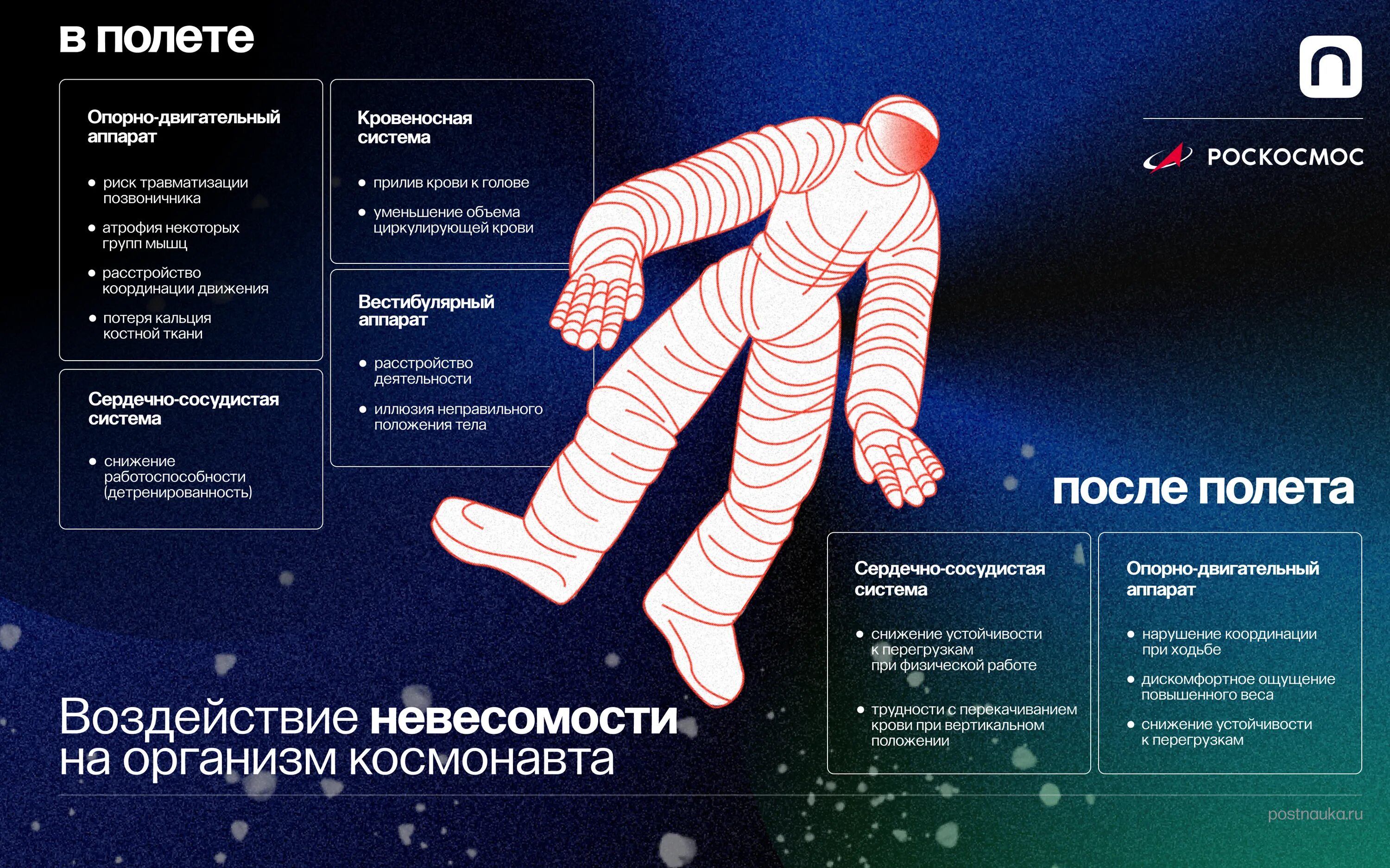 Космический человек. Человек в космосе. Человек в космосе. Что происходит с мышцами в космосе. Тела людей в космосе.
