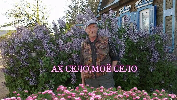 Ой село мое село. Ах село мое село. Ой село мое село. Село мое родное. Презентация село мое родное.