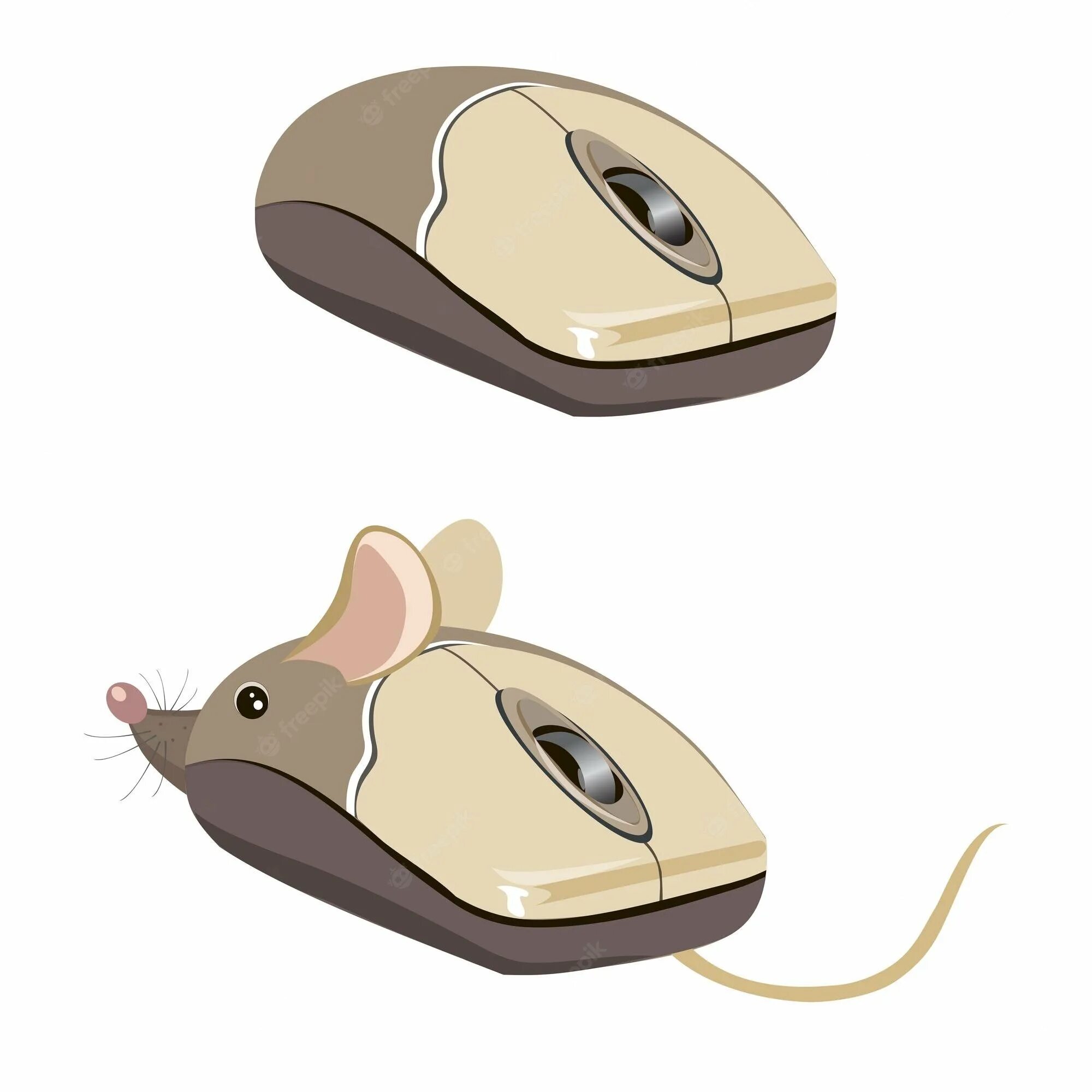 Компьютерная мышь рисунок. Детская компьютерная мышь. Мышка компьютерная рисунок. Изображение компьютерной мыши. Развитие мышей