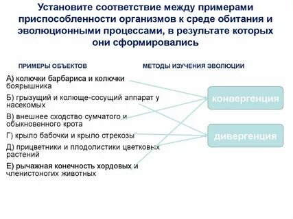 Установите соответствие между примерами и формами отбора
