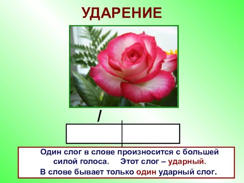 Ударный слог 1 класс школа россии. Ударение 1 класс. Ударение 1 класс карточки. Ударение ударный слог 1 класс. Ударение 1 класс школа России презентация.