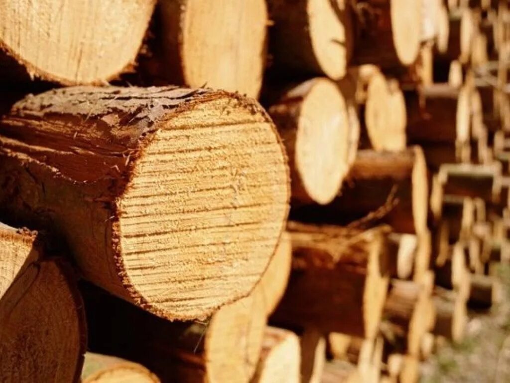 Пиломатериалы года