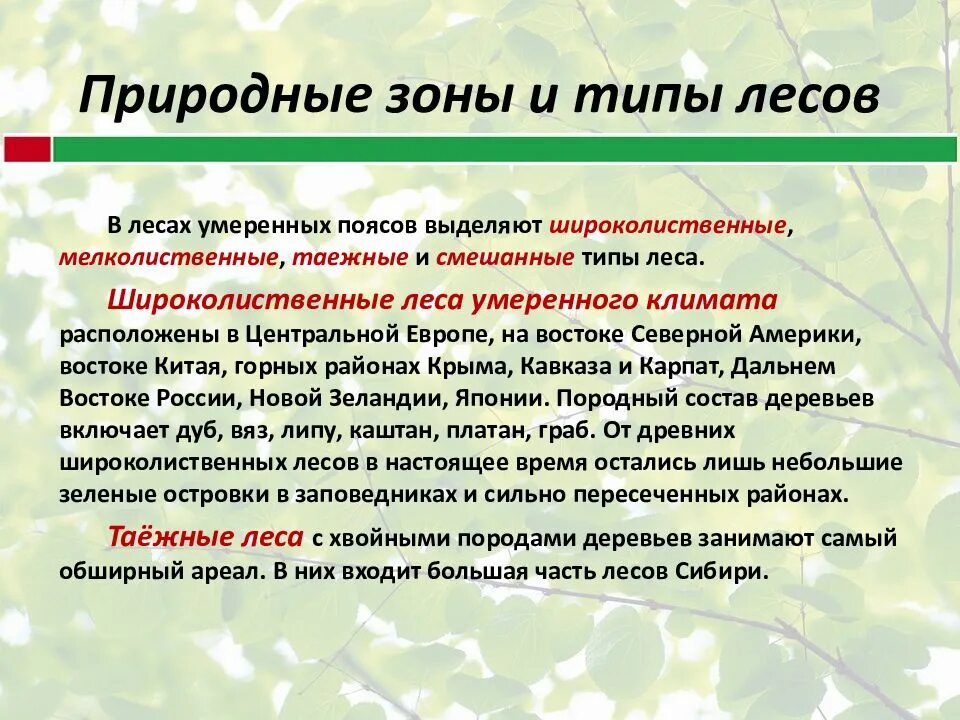 Смешанные ресурсы. Карат широколиственных леосв россиии. Смешанные ресурсы. Смешанные леса ресурсы. Смешанные ресурсы.