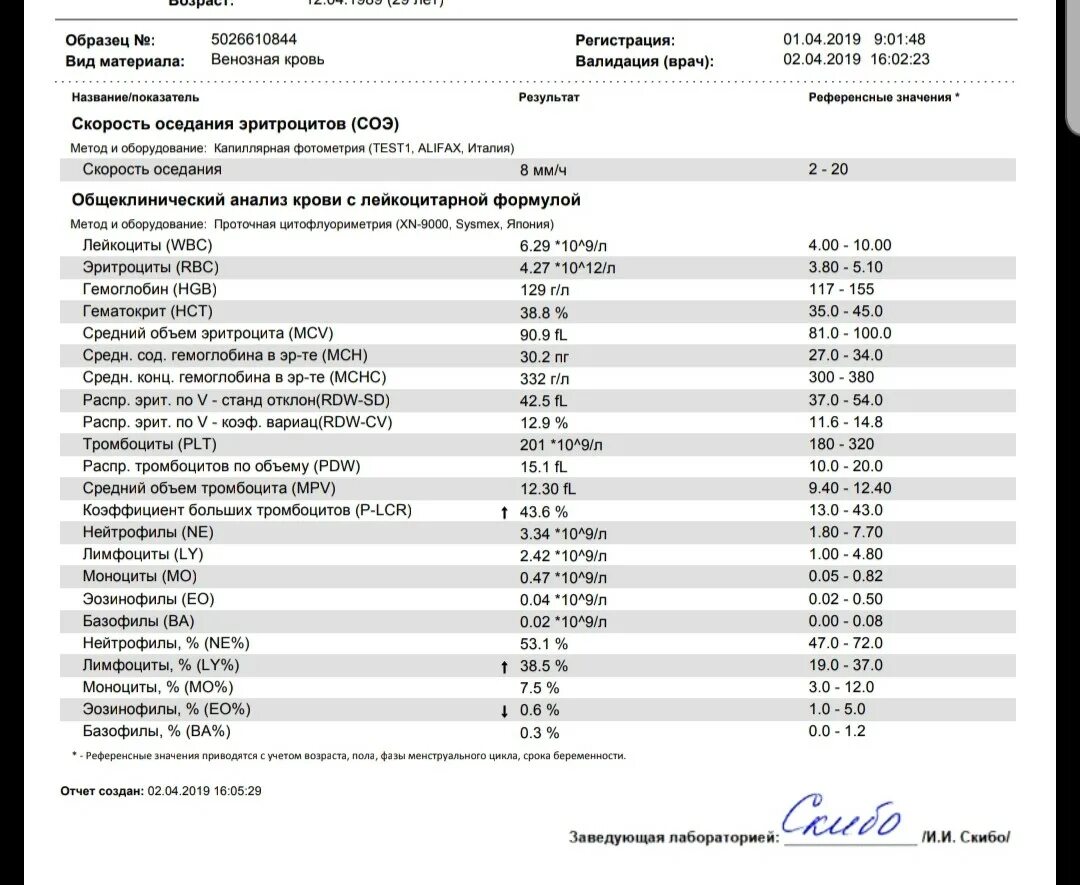 Тромбоциты соэ. Клинический анализ крови тромбоциты норма. расшифровка общего анализа крови у женщин таблица. расшифровка анализа крови тромбоциты норма. общий анализ крови расшифровка соэ.