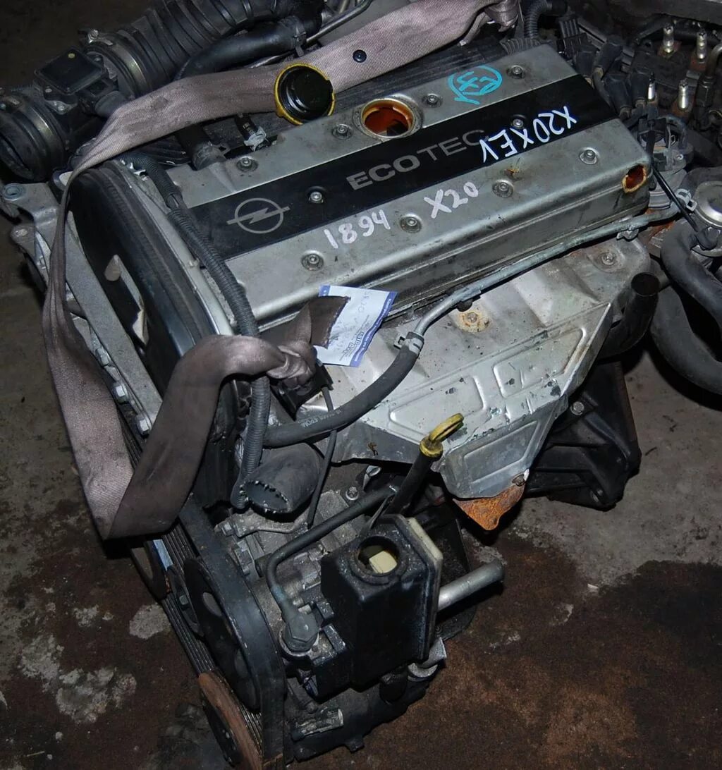 Двигатель opel x20xev. Двигатель z20lel. B20dth. X20xer. 2.