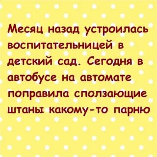 Автобус штаны