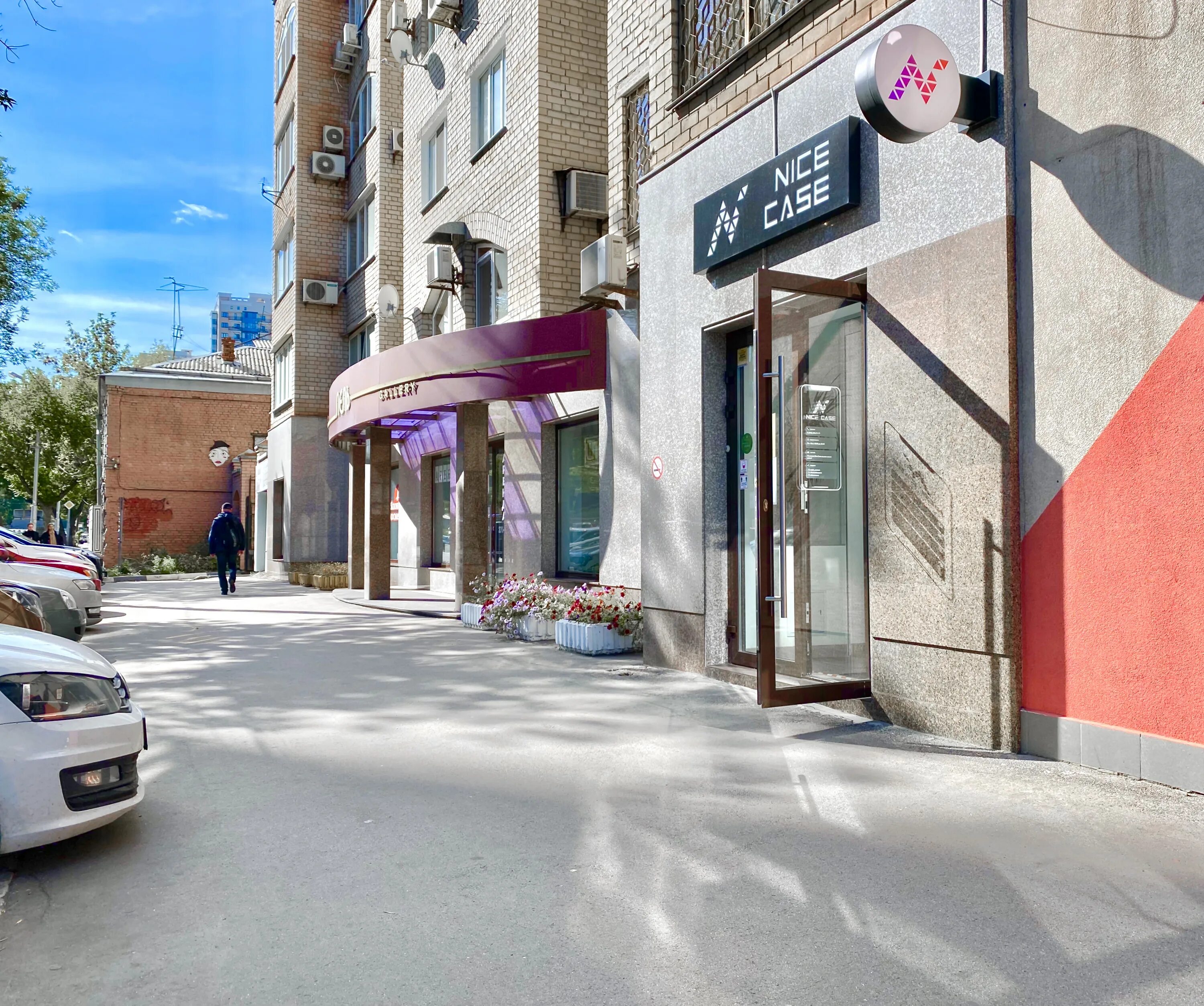 Apple Nice Case, items for mobile phones, Samara, 22 Partsyezda Street, 194 - Ya