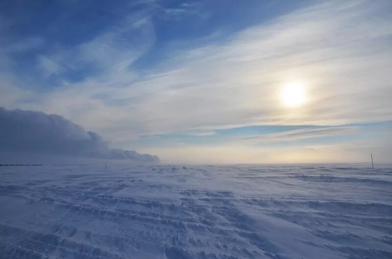 Арктический ветер. Пурга в Арктике. Метель. Ветер в Арктике. Cold north