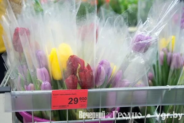 Сколько стоят тюльпаны в магните. Магнит цветы тюльпаны. Тюльпаны из магнита. Продают в магните тюльпаны. Тюльпаны в ленте 2022.