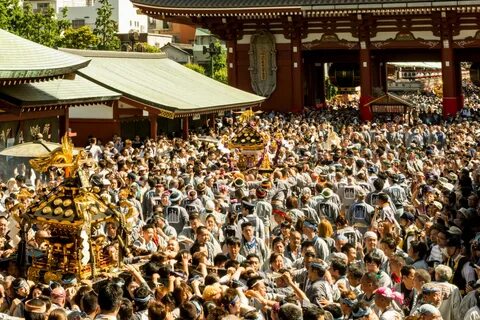 Wallpaper : Japan, Tokyo, crowd, Asakusa, overlook, mikoshi, sanjamatsuri, ...