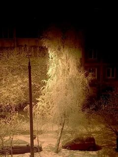 Света тишина
