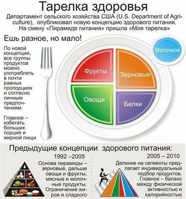 Тарелка здорового питания. Правило тарелки для похудения. Пищевая тарелка правильного питания. Принцип тарелки для похудения. Мизерная порция света