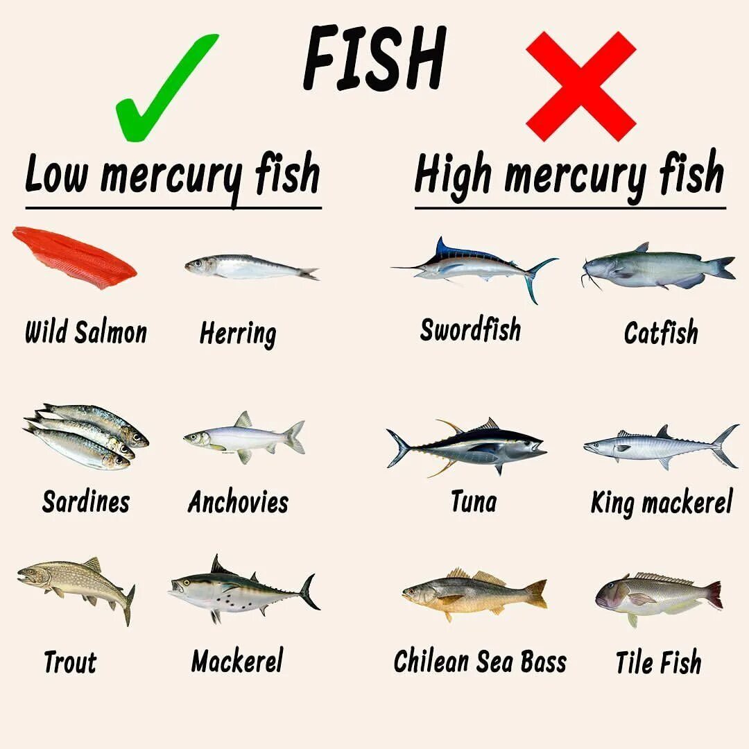 High Mercury Fish. Mercury in Fish. Имена для рыб. Прикольные названия рыб.