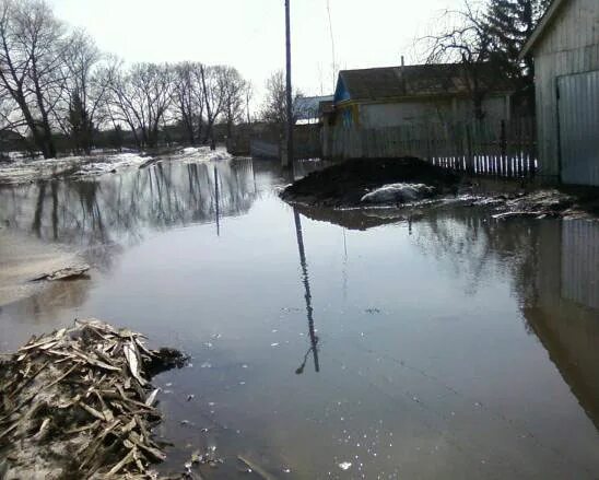 Залитая в половодье 6 букв
