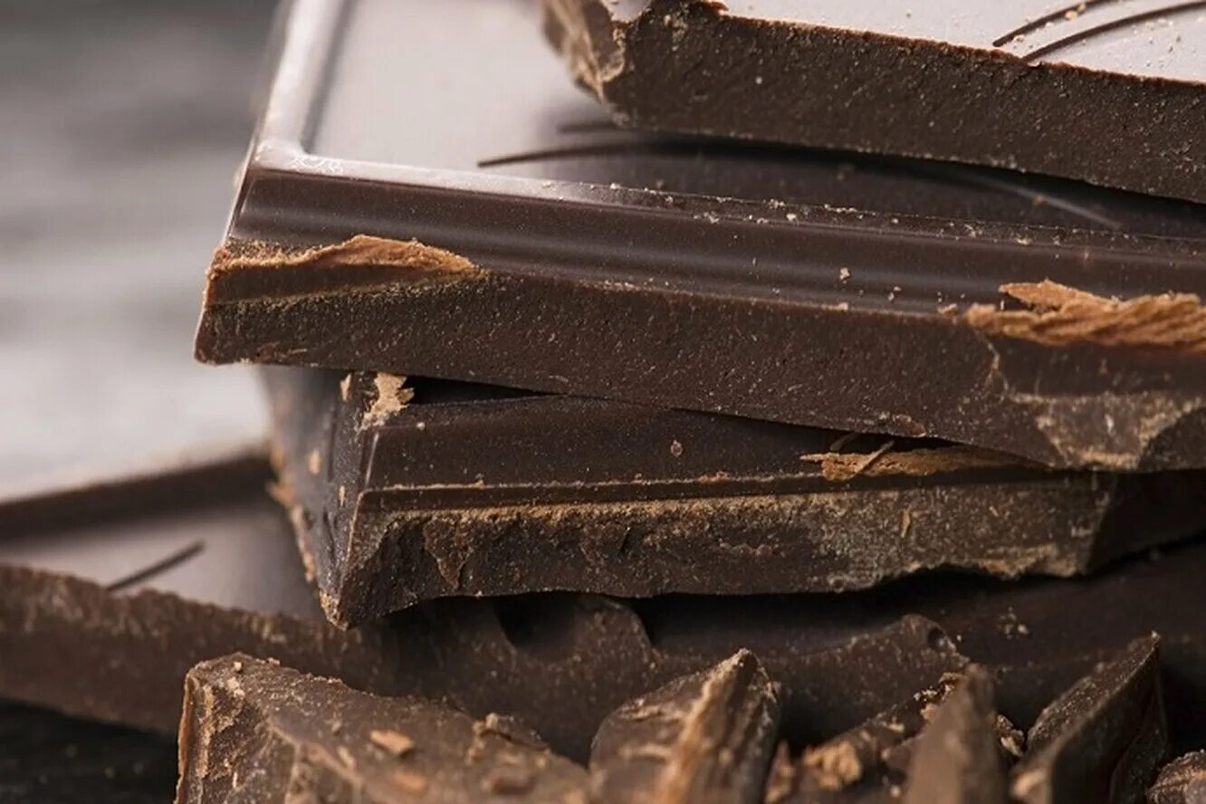 Chocolate is extracted from the