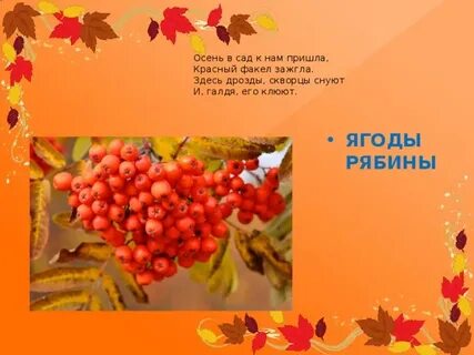 Вопрос осени