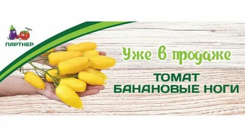 Магазины агрофирмы партнер в москве