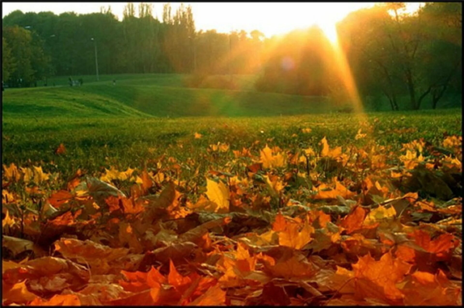 Сентябрь продолжение лета. Осень сентябрь. Конец лета и начало осени. С наступлением осени. Тёплая осень.