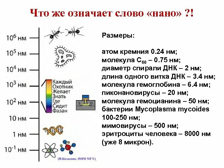 Сколько нанометров молекула