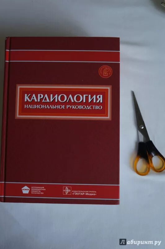 Национальное руководство pdf. Кардиология национальное руководство Шляхто. Кардиология национальное руководство 2021. Кардиология национальное руководство 2020. Национальное руководство по кардио.