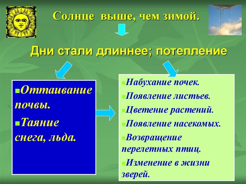 Почему день становится длиннее. Изменения в живой и неживой природе весной. Явления живой и неживой природы весной.