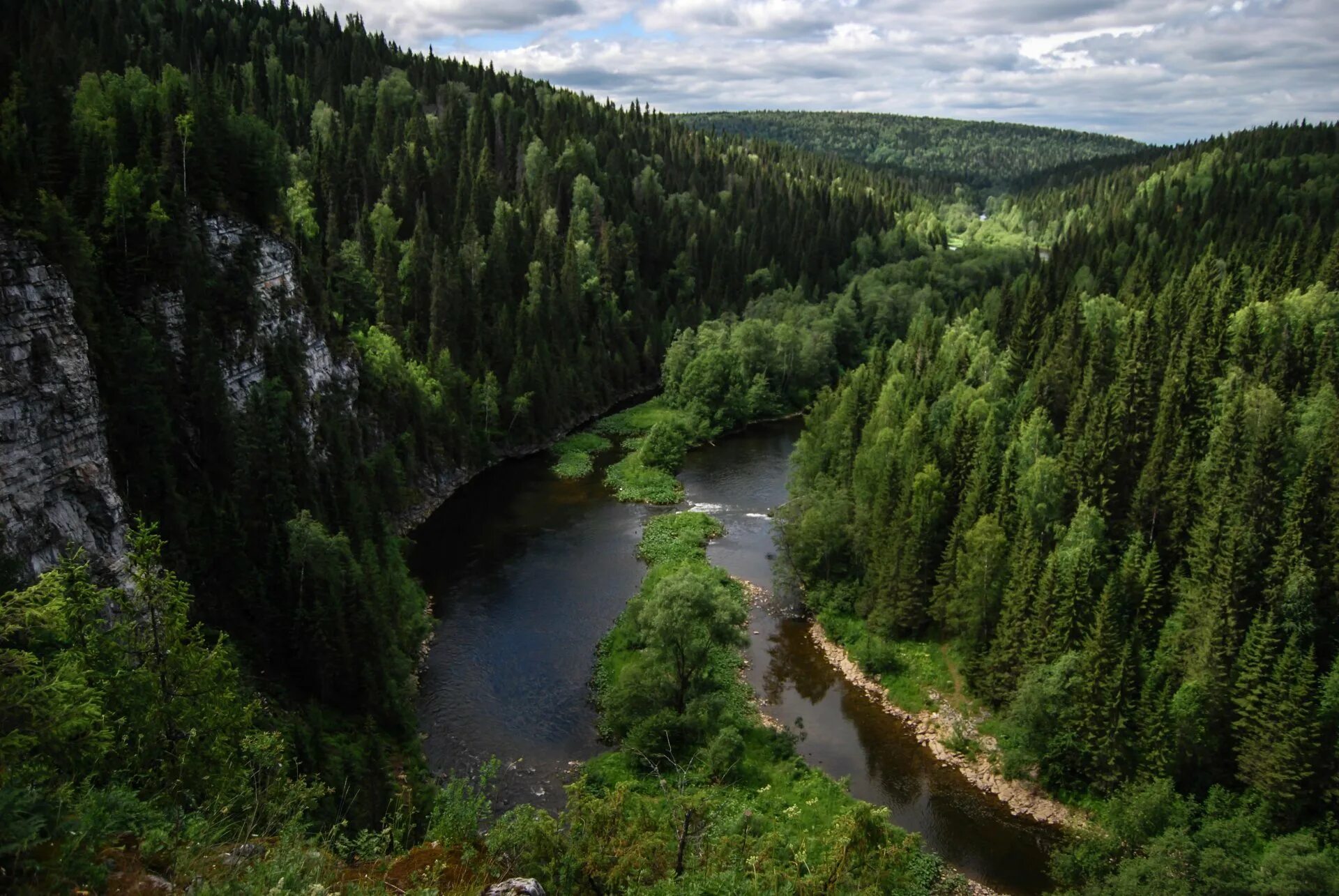 Какие реки растут в лесах