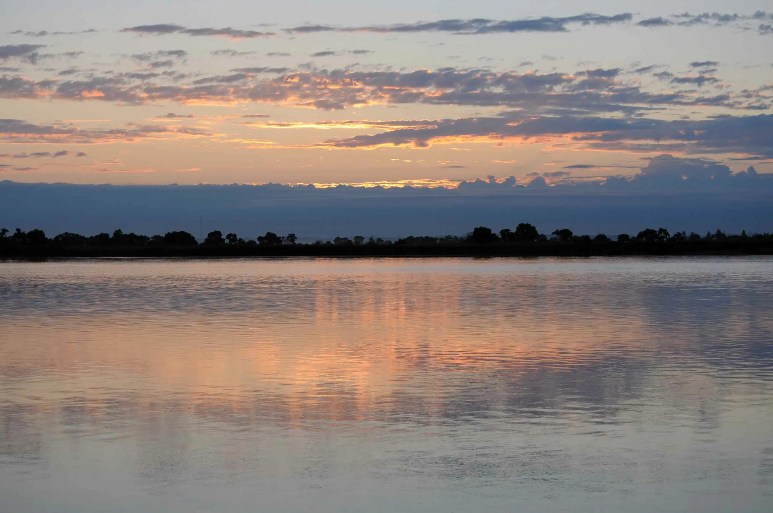 Дальний восток река амур. Дальний восток река амур. Река амур. Дальний восток река амур. Амур великая река.