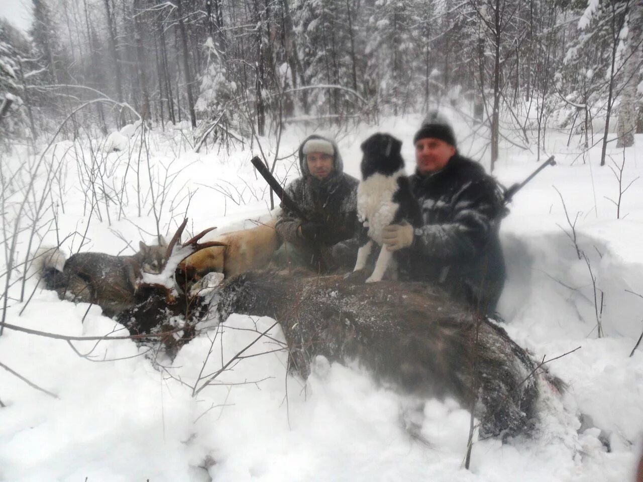 Жизнь охотников в глубинке. Охота на лося в Свердловской области. Охота на Лось в Красноярском крае. Охота на снегоходе.